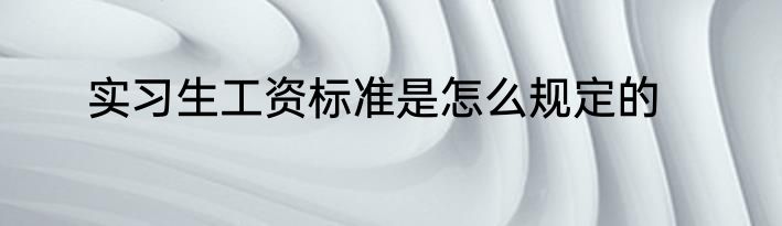 实习生工资标准是怎么规定的