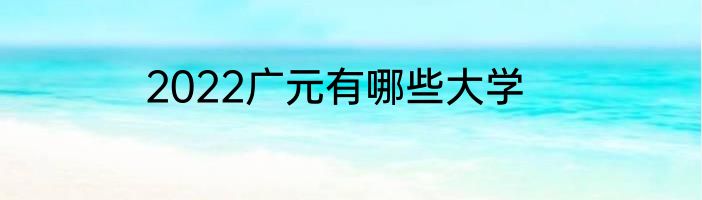 2022广元有哪些大学