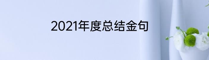 2021年度总结金句