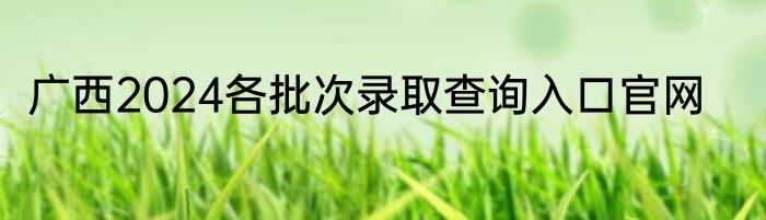 广西2024各批次录取查询入口官网