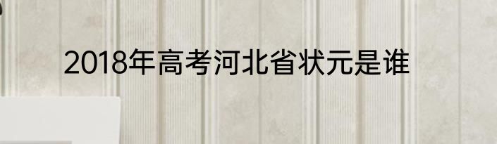 2018年高考河北省状元是谁
