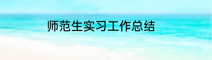 师范生实习工作总结