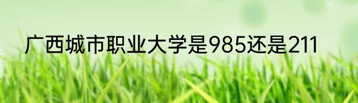 广西城市职业大学是985还是211