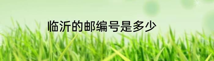 临沂的邮编号是多少