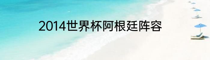 2014世界杯阿根廷阵容
