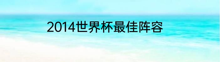 2014世界杯最佳阵容