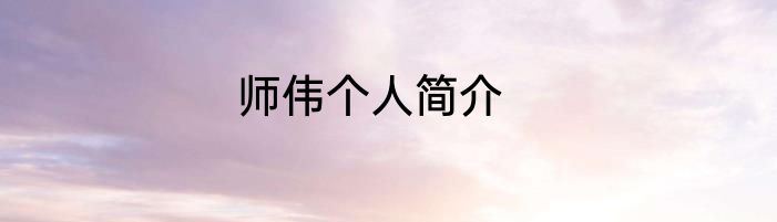 师伟个人简介