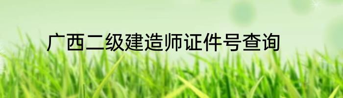 广西二级建造师证件号查询