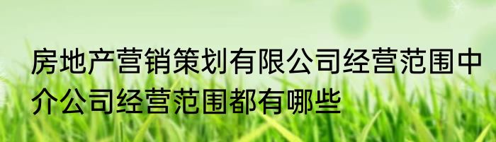 房地产营销策划有限公司经营范围中介公司经营范围都有哪些