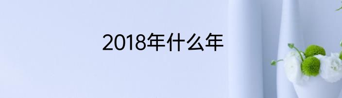 2018年什么年