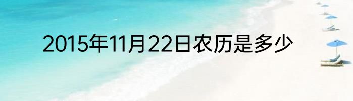 2015年11月22日农历是多少
