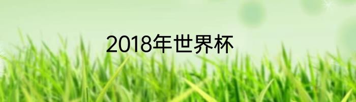 2018年世界杯