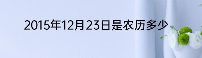 2015年12月23日是农历多少