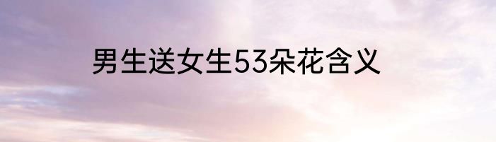 男生送女生53朵花含义