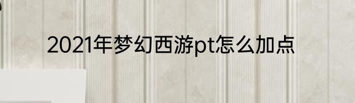 2021年梦幻西游pt怎么加点
