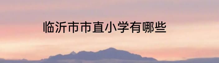 临沂市市直小学有哪些