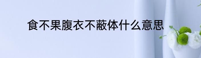 食不果腹衣不蔽体什么意思