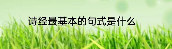 诗经最基本的句式是什么