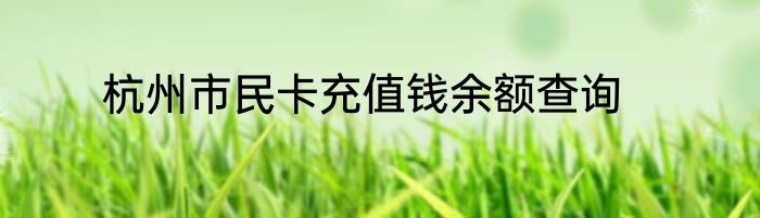 杭州市民卡充值钱余额查询