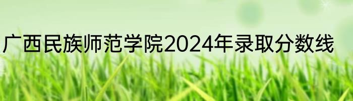 广西民族师范学院2024年录取分数线