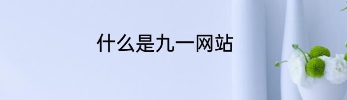 什么是九一网站