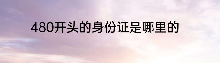 480开头的身份证是哪里的