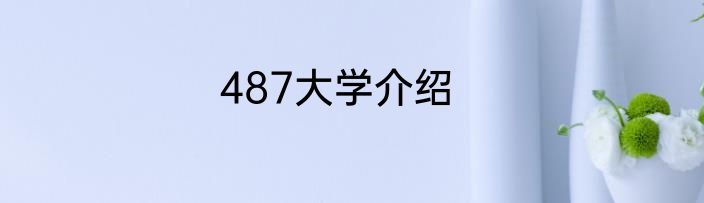 487大学介绍