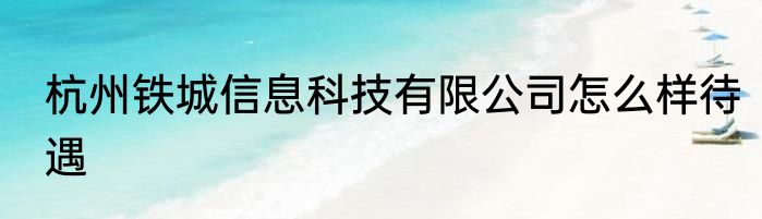 杭州铁城信息科技有限公司怎么样待遇
