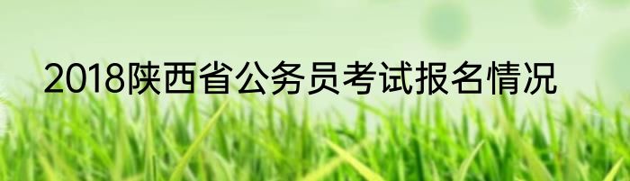 2018陕西省公务员考试报名情况