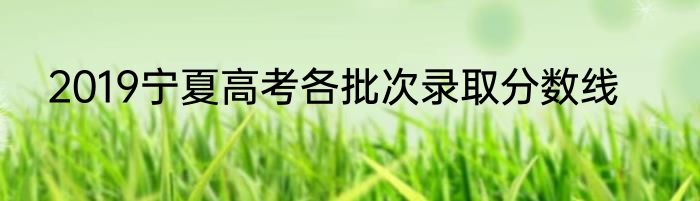 2019宁夏高考各批次录取分数线