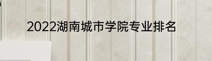 2022湖南城市学院专业排名