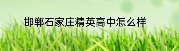 邯郸石家庄精英高中怎么样
