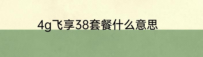 4g飞享38套餐什么意思