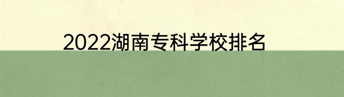 2022湖南专科学校排名