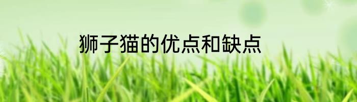 狮子猫的优点和缺点