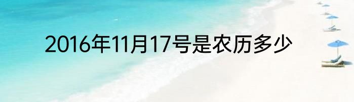 2016年11月17号是农历多少