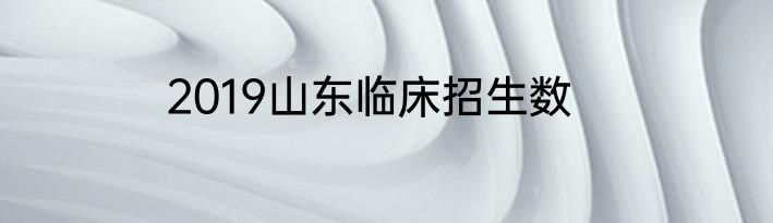 2019山东临床招生数