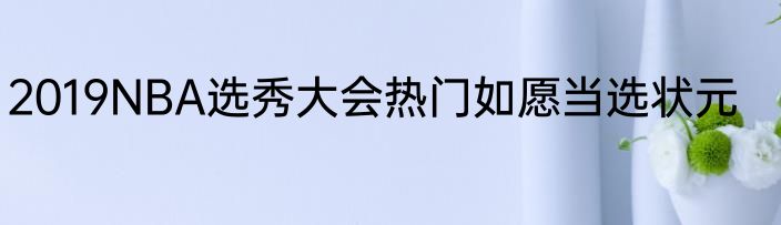 2019NBA选秀大会热门如愿当选状元