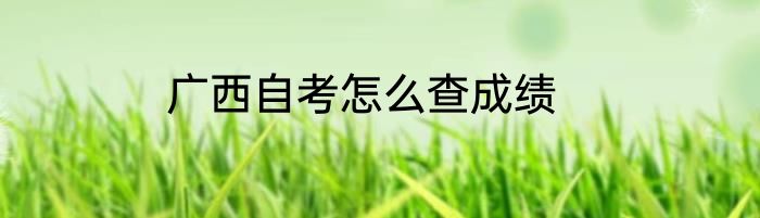 广西自考怎么查成绩