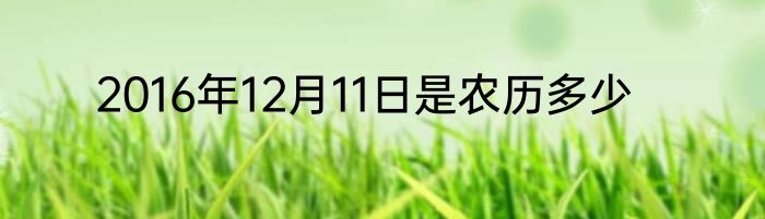 2016年12月11日是农历多少