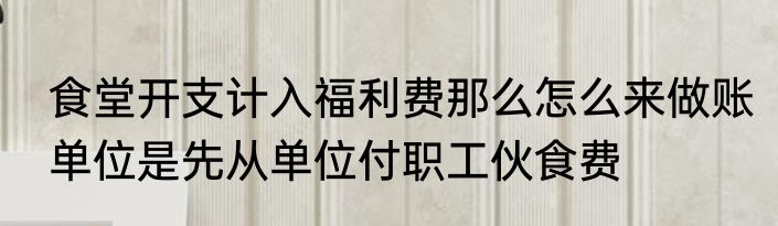 食堂开支计入福利费那么怎么来做账单位是先从单位付职工伙食费