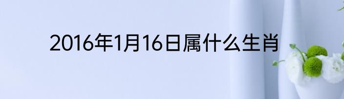 2016年1月16日属什么生肖