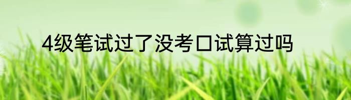 4级笔试过了没考口试算过吗