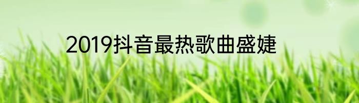 2019抖音最热歌曲盛婕