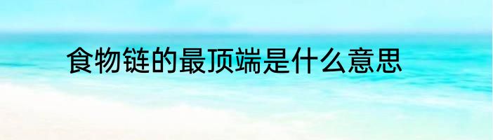 食物链的最顶端是什么意思