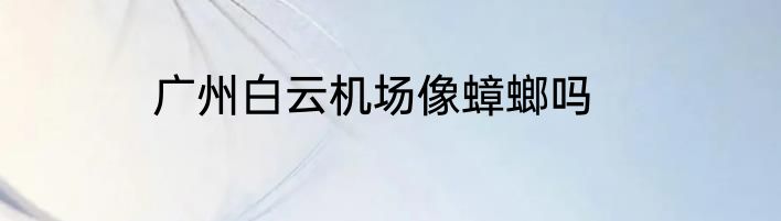 广州白云机场像蟑螂吗
