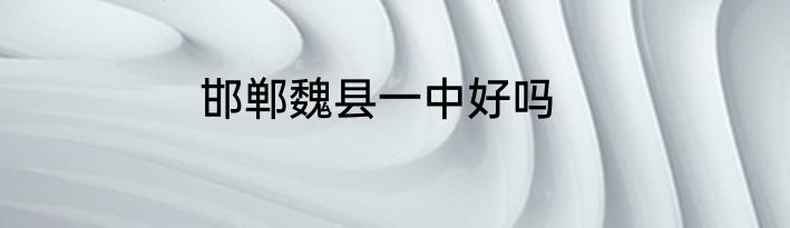 邯郸魏县一中好吗