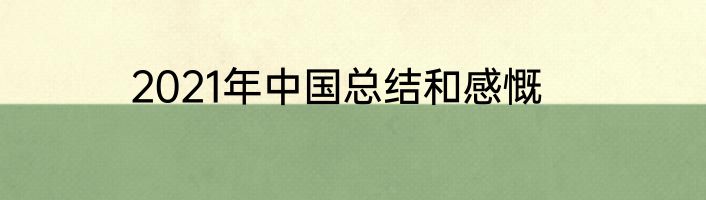 2021年中国总结和感慨