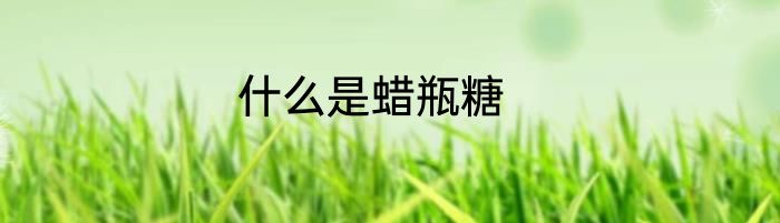 什么是蜡瓶糖