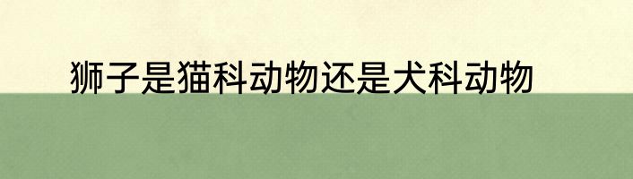 狮子是猫科动物还是犬科动物